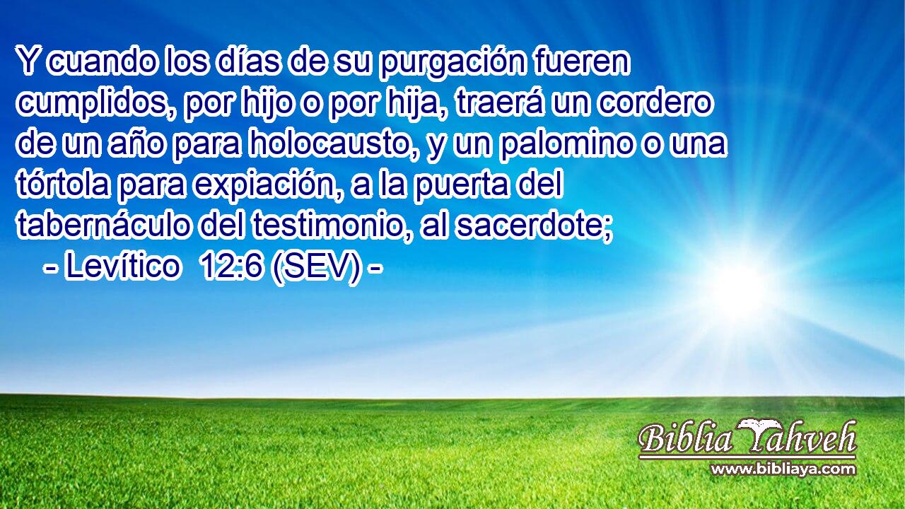 Y cuando los días de su purgación fueren cumplidos, por hijo o por hija, traerá un cordero de un año para holocausto, y un palomino o una tórtola para expiación, a la puerta del tabernáculo del testimonio, al sacerdote;