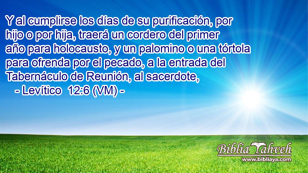  Y al cumplirse los días de su purificación, por hijo o por hija, traerá un cordero del primer año para holocausto, y un palomino o una tórtola para ofrenda por el pecado, a la entrada del Tabernáculo de Reunión, al sacerdote, 