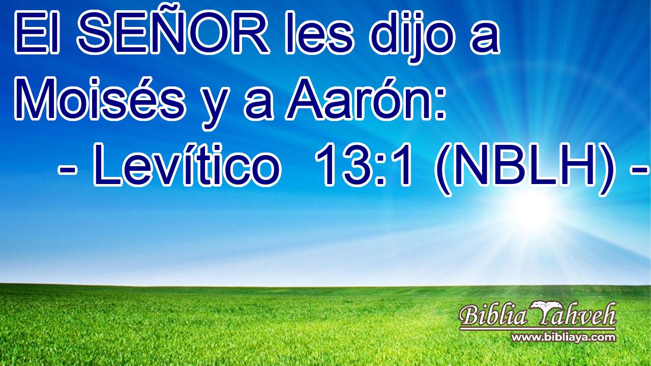  El SEÑOR les dijo a Moisés y a Aarón: 