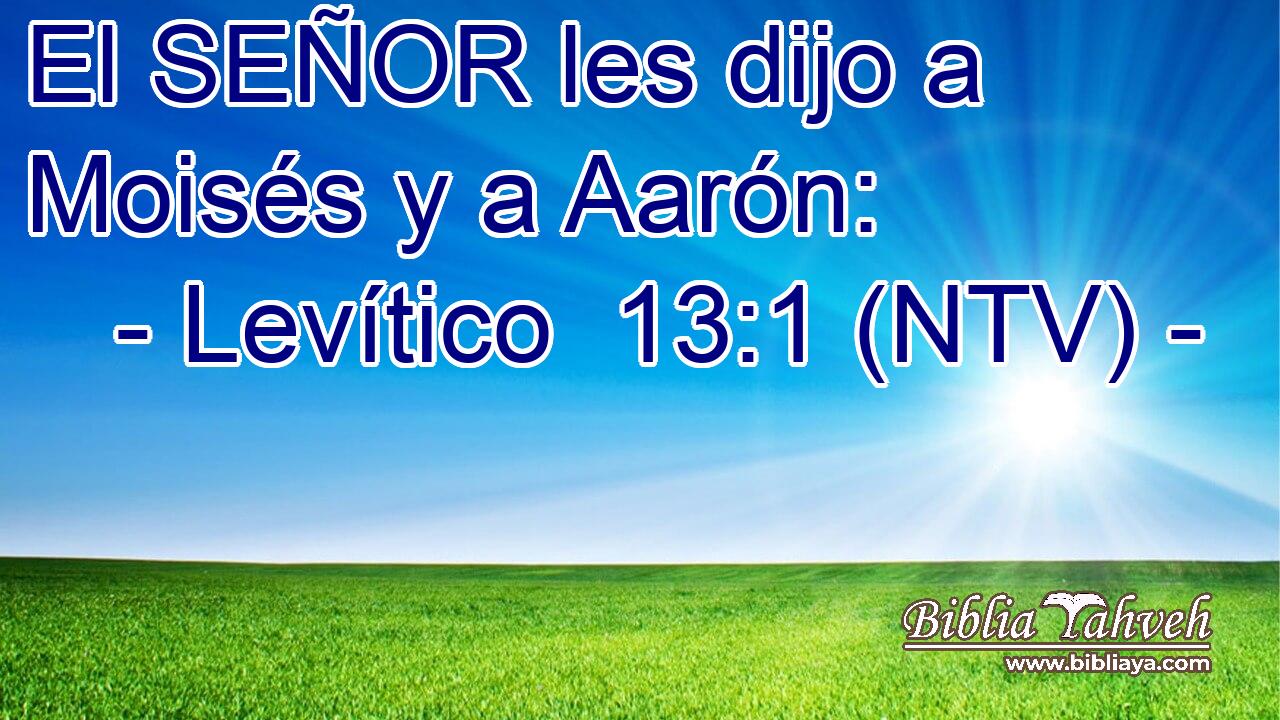 El SEÑOR les dijo a Moisés y a Aarón: