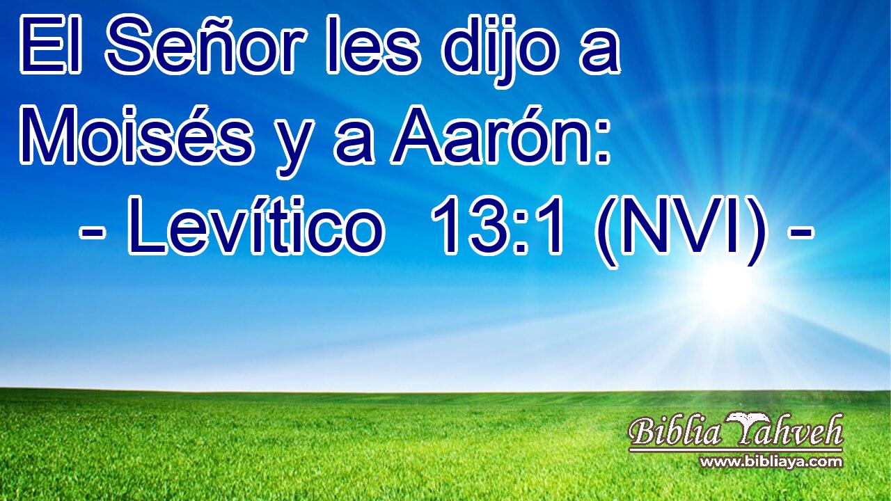  El Señor les dijo a Moisés y a Aarón: 
