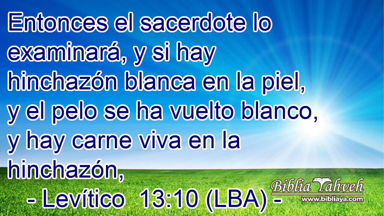 Entonces el sacerdote lo examinará, y si hay hinchazón blanca en la piel, y el pelo se ha vuelto blanco, y hay carne viva en la hinchazón,