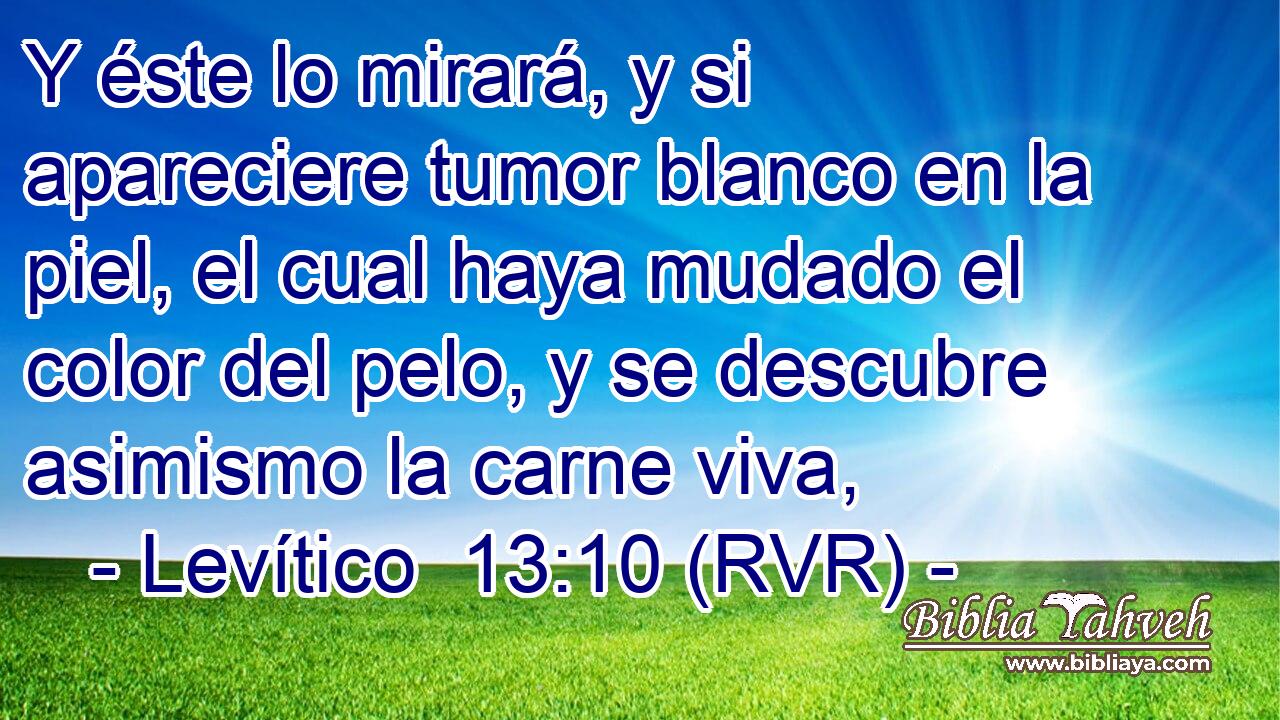 Y éste lo mirará, y si apareciere tumor blanco en la piel, el cual haya mudado el color del pelo, y se descubre asimismo la carne viva,