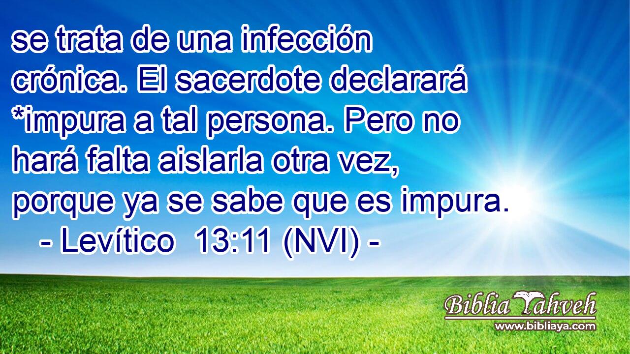  se trata de una infección crónica. El sacerdote declarará *impura a tal persona. Pero no hará falta aislarla otra vez, porque ya se sabe que es impura. 