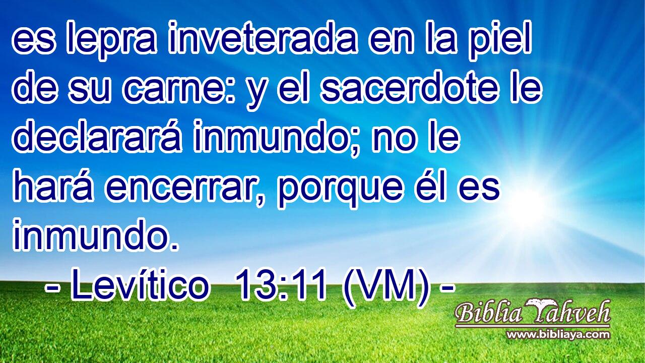  es lepra inveterada en la piel de su carne: y el sacerdote le declarará inmundo; no le hará encerrar, porque él es inmundo. 