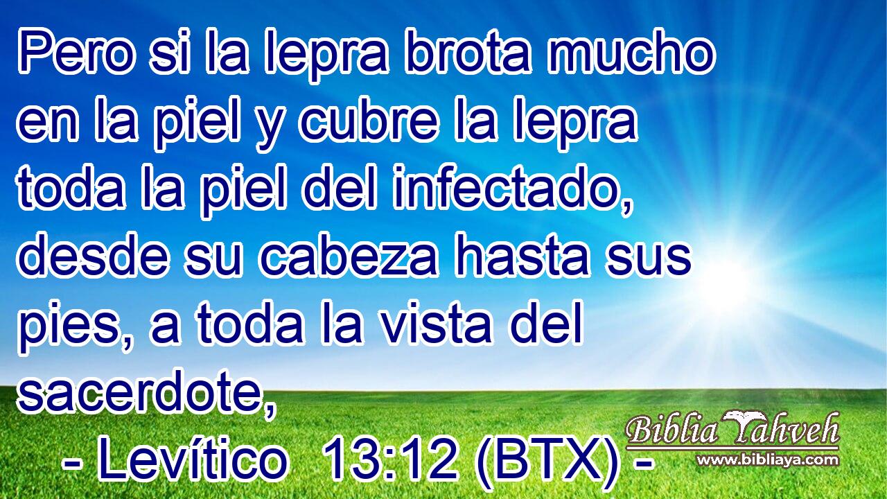 Pero si la lepra brota mucho en la piel y cubre la lepra toda la piel del infectado, desde su cabeza hasta sus pies, a toda la vista del sacerdote,