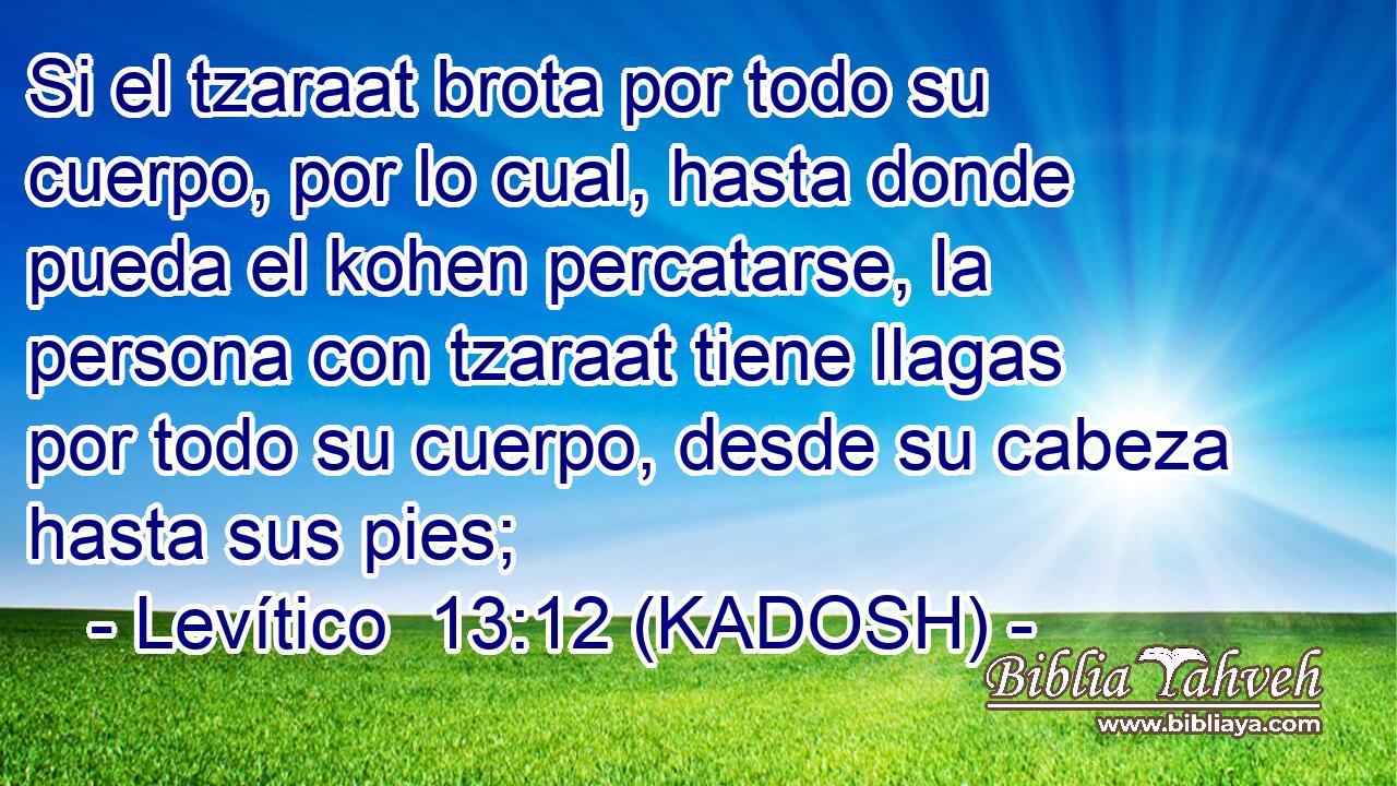  Si el tzaraat brota por todo su cuerpo, por lo cual, hasta donde pueda el kohen percatarse, la persona con tzaraat tiene llagas por todo su cuerpo, desde su cabeza hasta sus pies; 