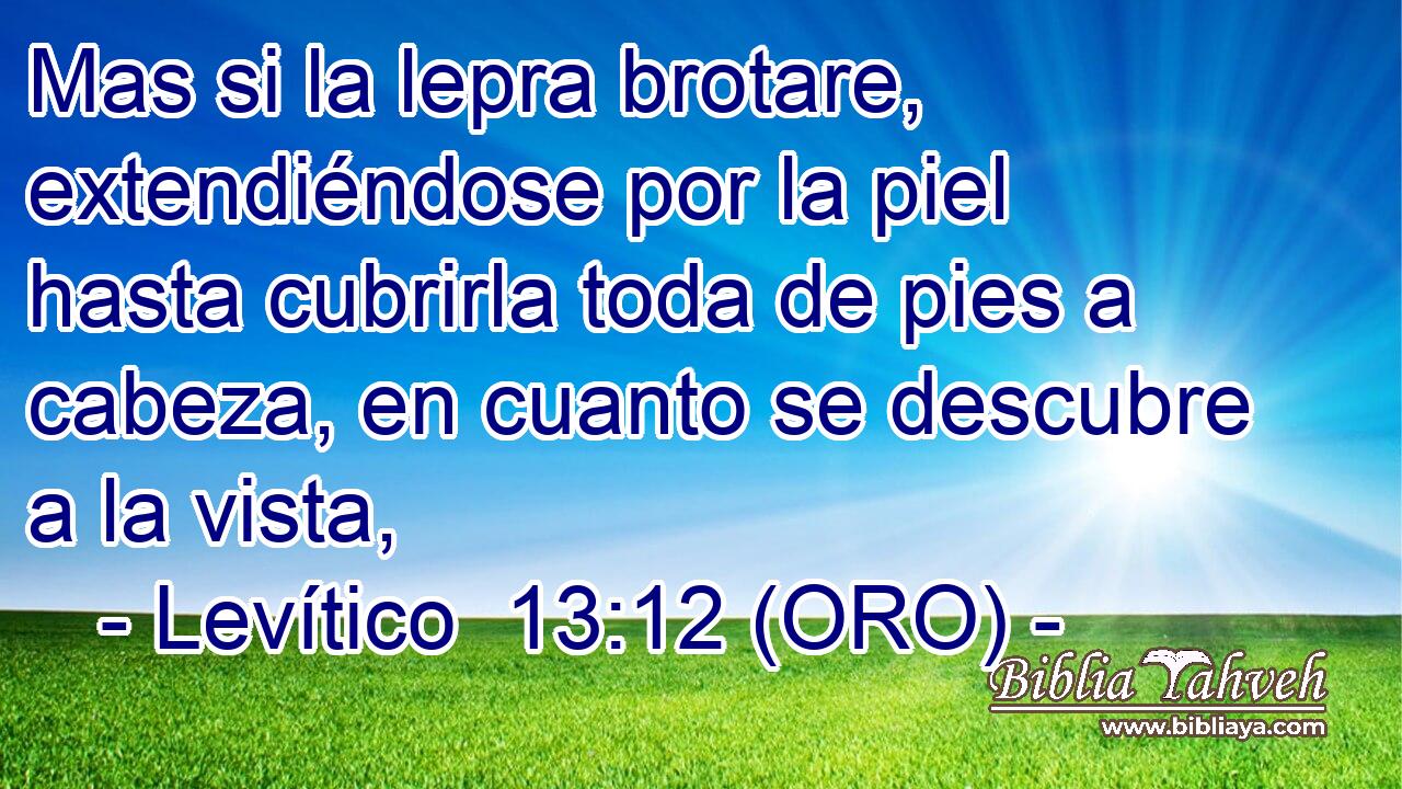  Mas si la lepra brotare, extendiéndose por la piel hasta cubrirla toda de pies a cabeza, en cuanto se descubre a la vista, 