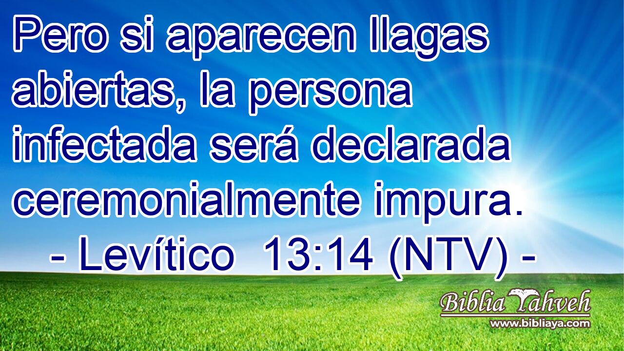 Pero si aparecen llagas abiertas, la persona infectada será declarada ceremonialmente impura.