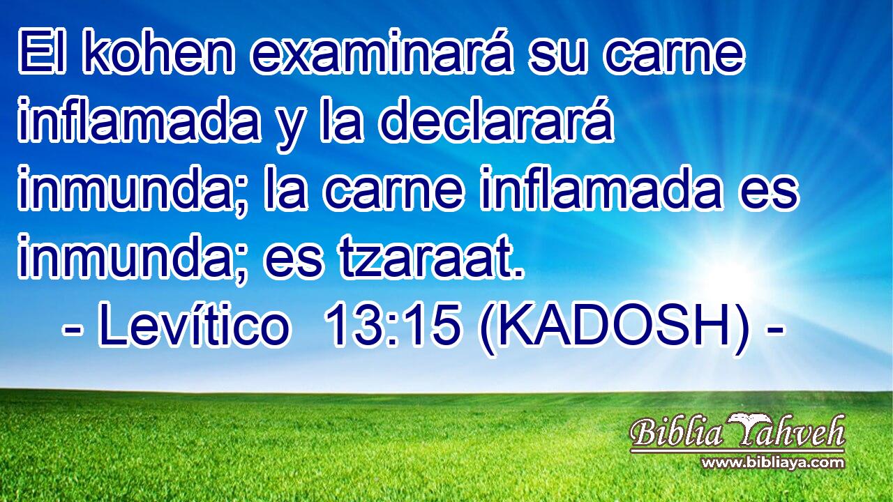  El kohen examinará su carne inflamada y la declarará inmunda; la carne inflamada es inmunda; es tzaraat. 