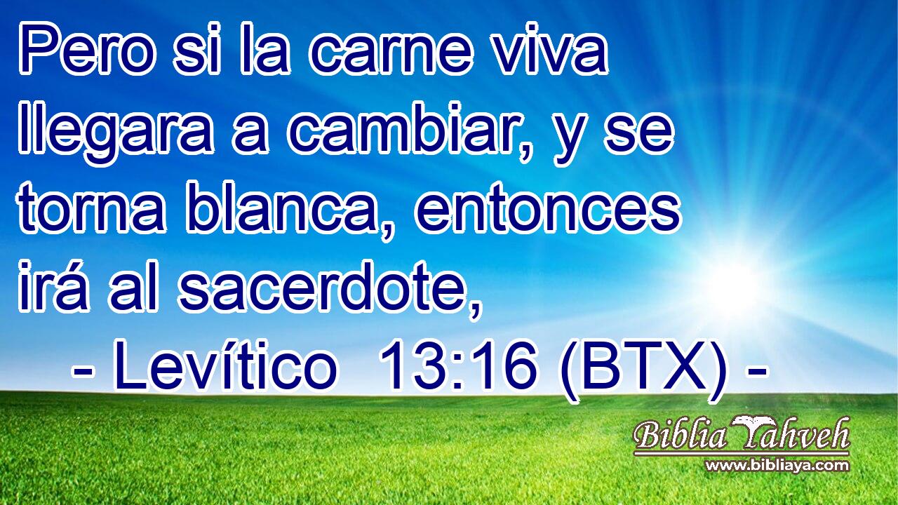 Pero si la carne viva llegara a cambiar, y se torna blanca, entonces irá al sacerdote,