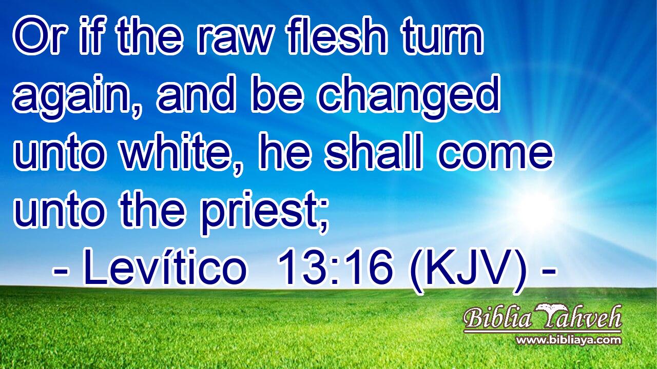 Or if the raw flesh turn again, and be changed unto white, he shall come unto the priest;