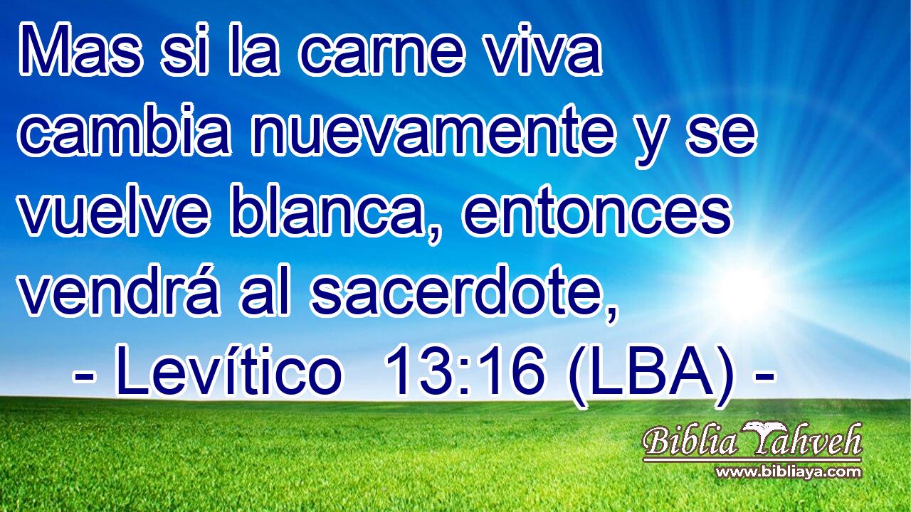 Mas si la carne viva cambia nuevamente y se vuelve blanca, entonces vendrá al sacerdote,