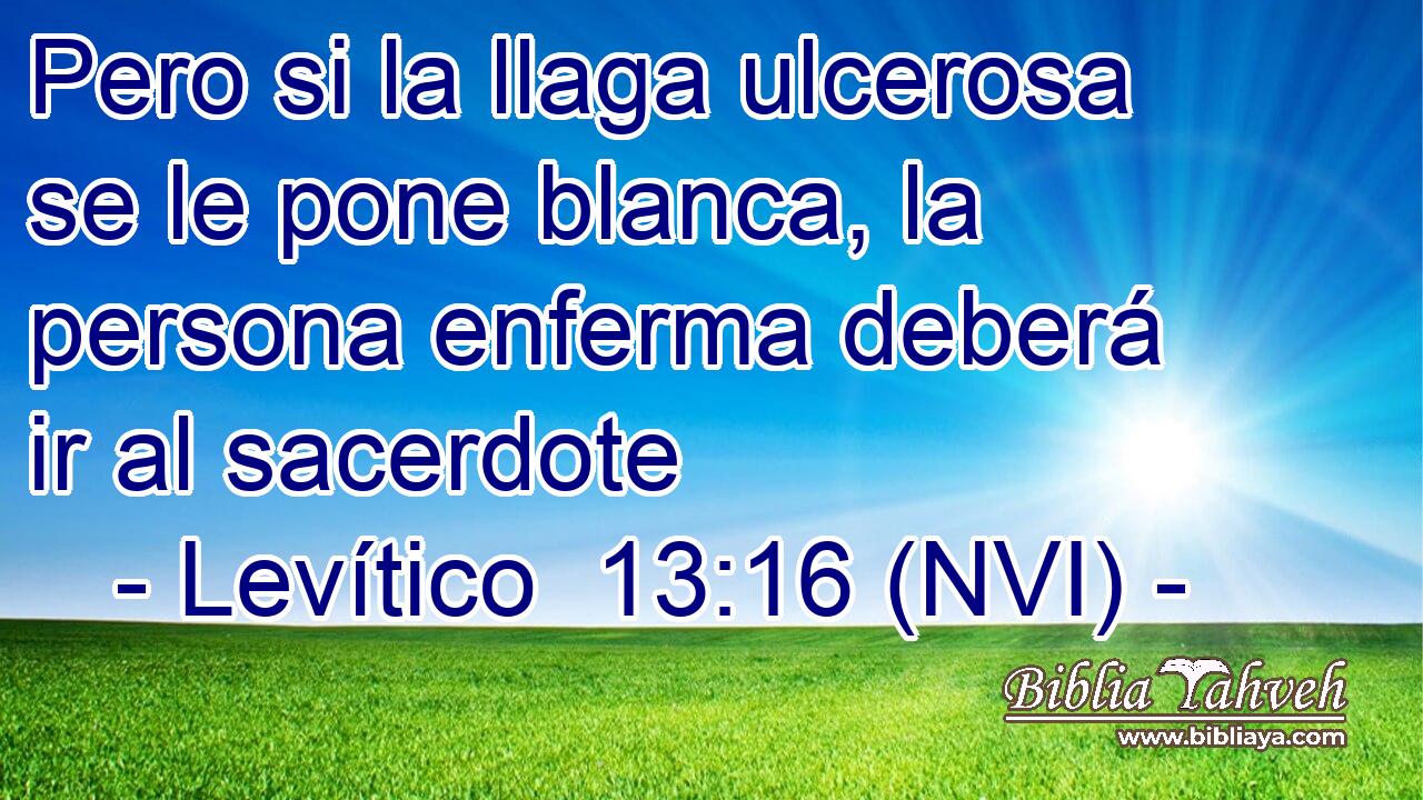  Pero si la llaga ulcerosa se le pone blanca, la persona enferma deberá ir al sacerdote 