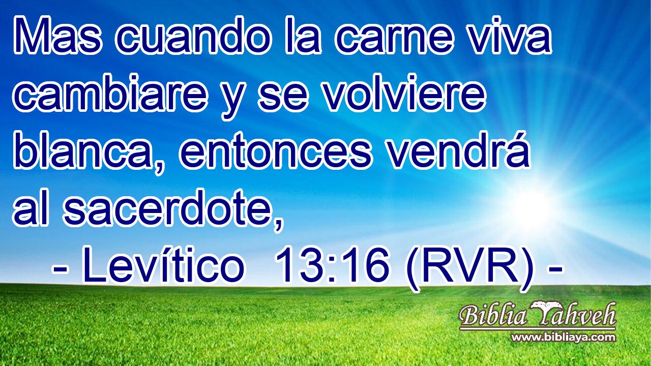 Mas cuando la carne viva cambiare y se volviere blanca, entonces vendrá al sacerdote,