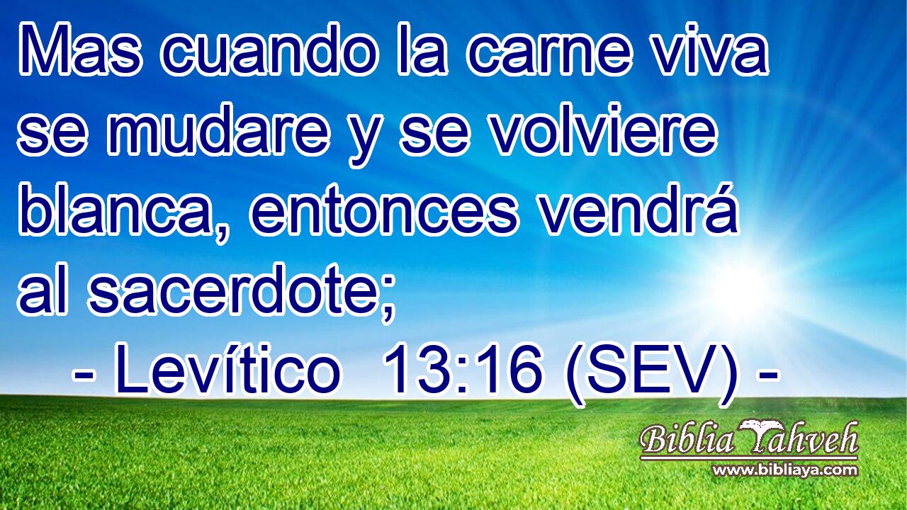 Mas cuando la carne viva se mudare y se volviere blanca, entonces vendrá al sacerdote;