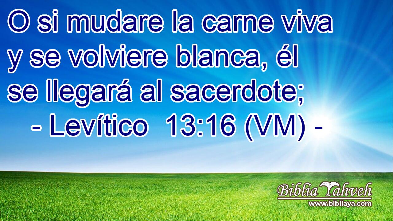  O si mudare la carne viva y se volviere blanca, él se llegará al sacerdote; 