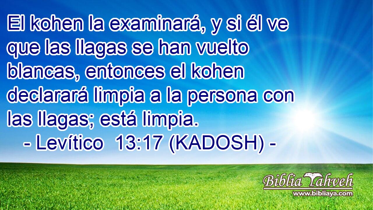  El kohen la examinará, y si él ve que las llagas se han vuelto blancas, entonces el kohen declarará limpia a la persona con las llagas; está limpia. 