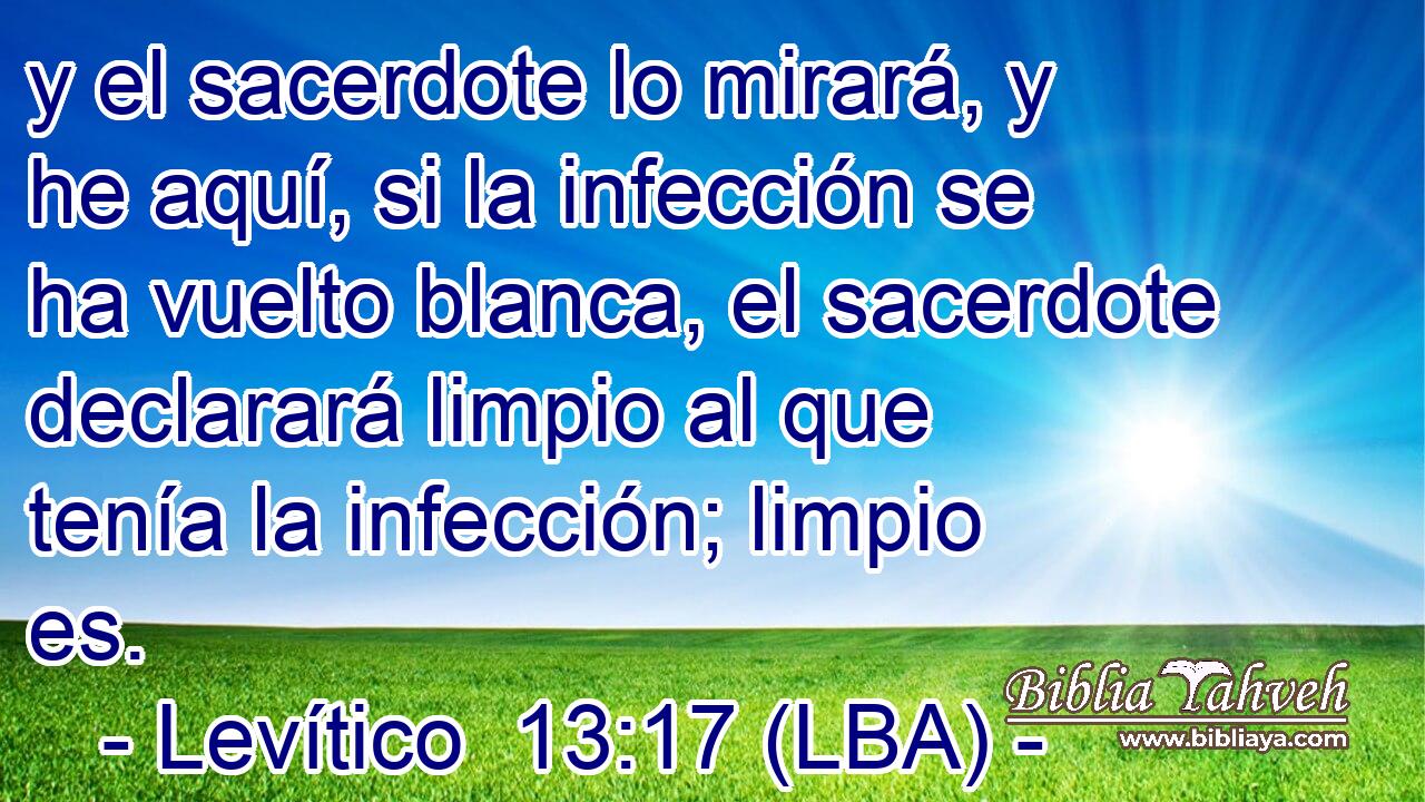y el sacerdote lo mirará, y he aquí, si la infección se ha vuelto blanca, el sacerdote declarará limpio al que tenía la infección; limpio es.