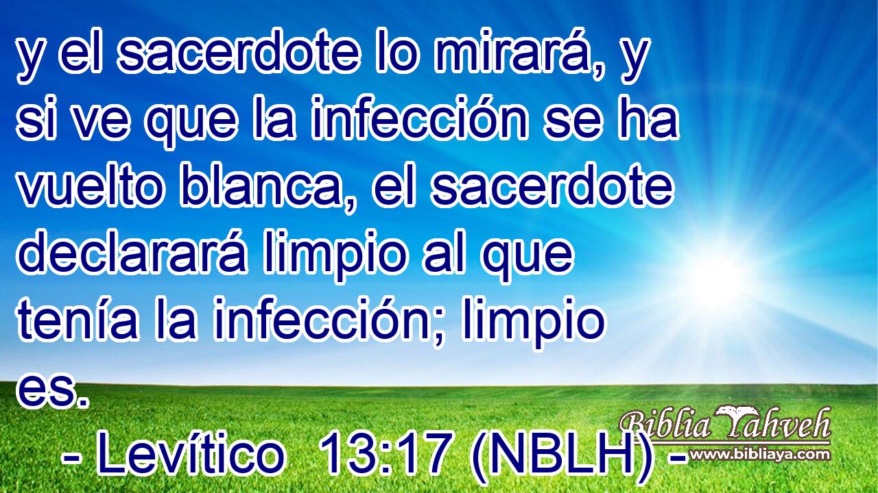  y el sacerdote lo mirará, y si ve que la infección se ha vuelto blanca, el sacerdote declarará limpio al que tenía la infección; limpio es. 