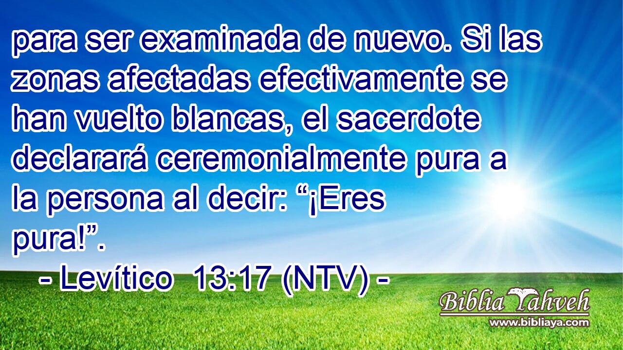 para ser examinada de nuevo. Si las zonas afectadas efectivamente se han vuelto blancas, el sacerdote declarará ceremonialmente pura a la persona al decir: “¡Eres pura!”.