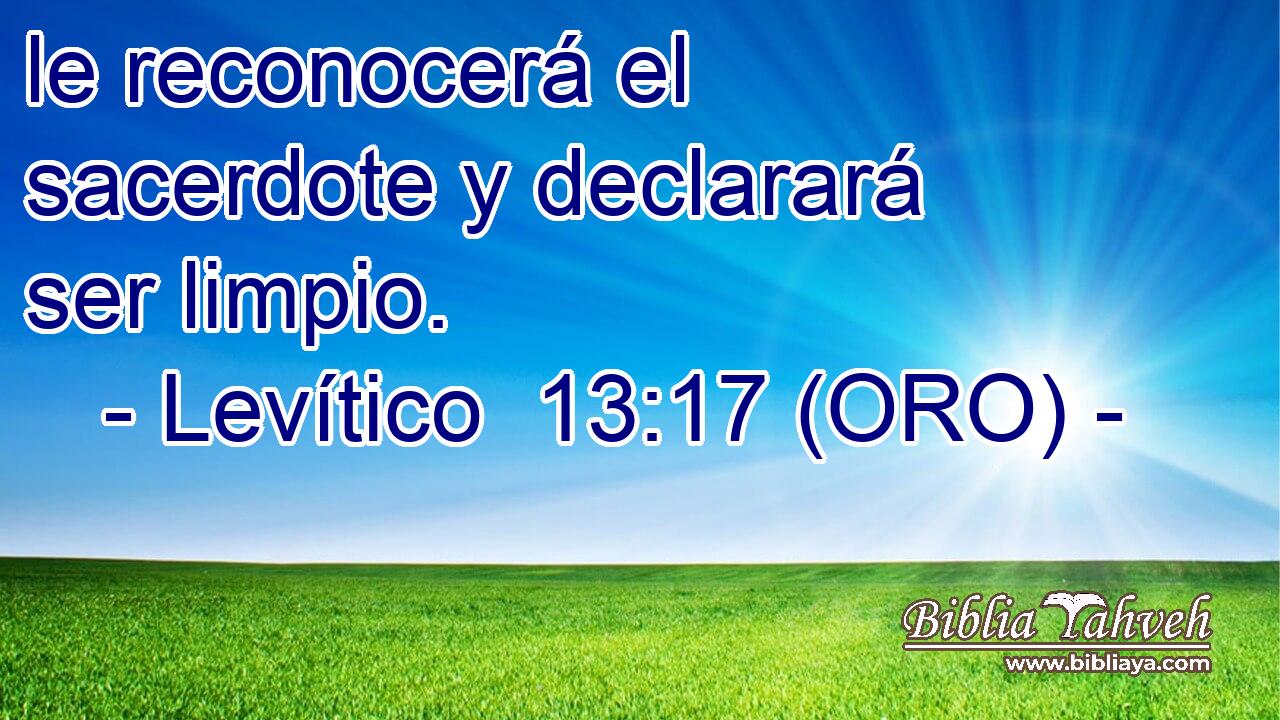  le reconocerá el sacerdote y declarará ser limpio. 