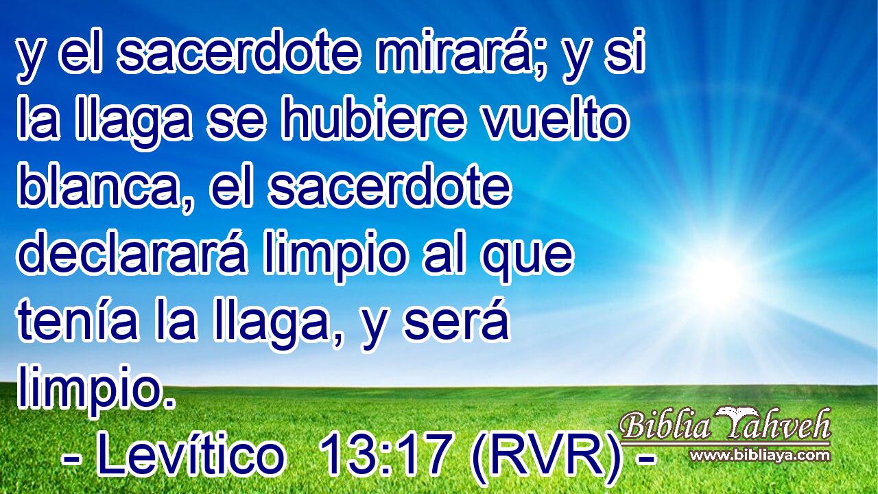 y el sacerdote mirará; y si la llaga se hubiere vuelto blanca, el sacerdote declarará limpio al que tenía la llaga, y será limpio.