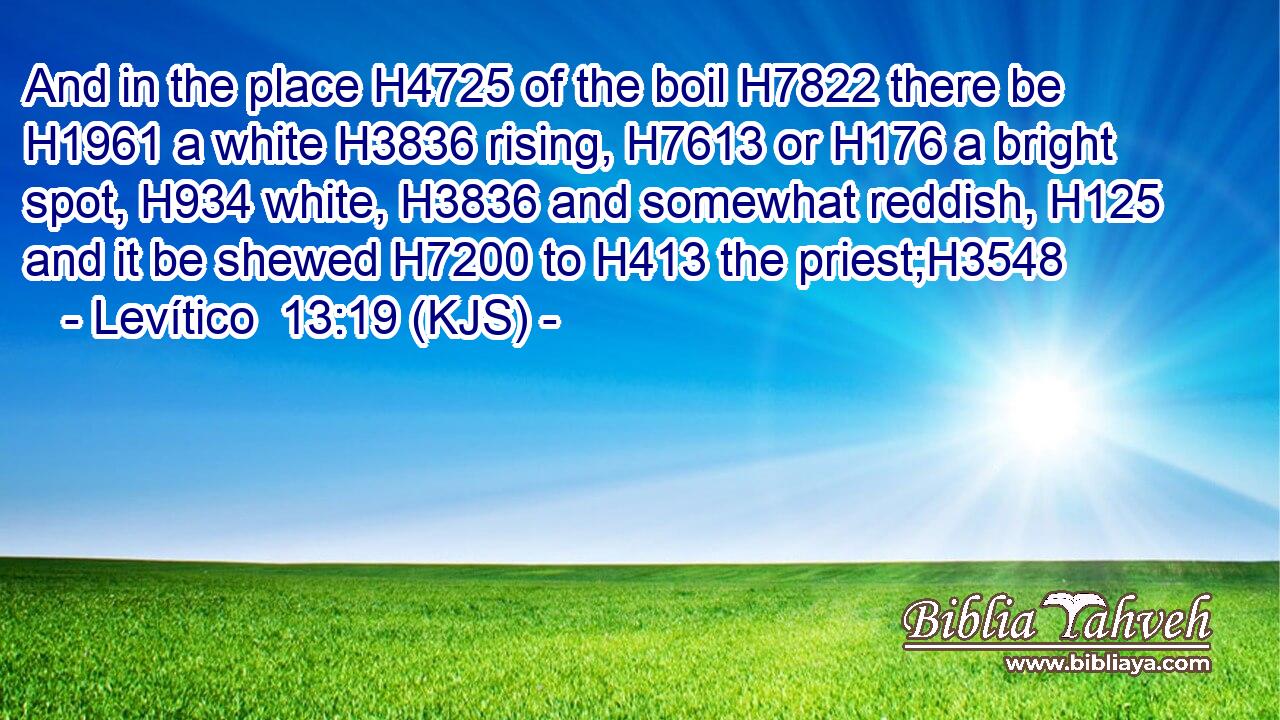 And in the place H4725 of the boil H7822 there be H1961 a white H3836 rising, H7613 or H176 a bright spot, H934 white, H3836 and somewhat reddish, H125 and it be shewed H7200 to H413 the priest;H3548