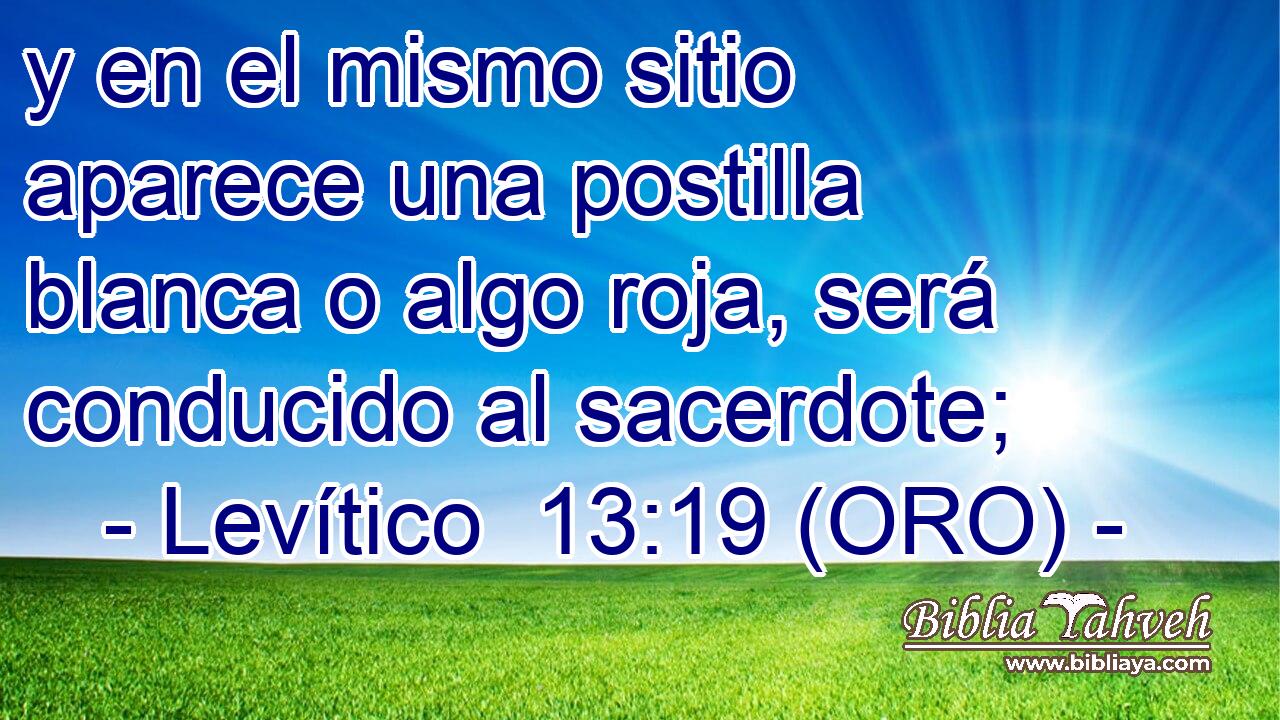  y en el mismo sitio aparece una postilla blanca o algo roja, será conducido al sacerdote; 