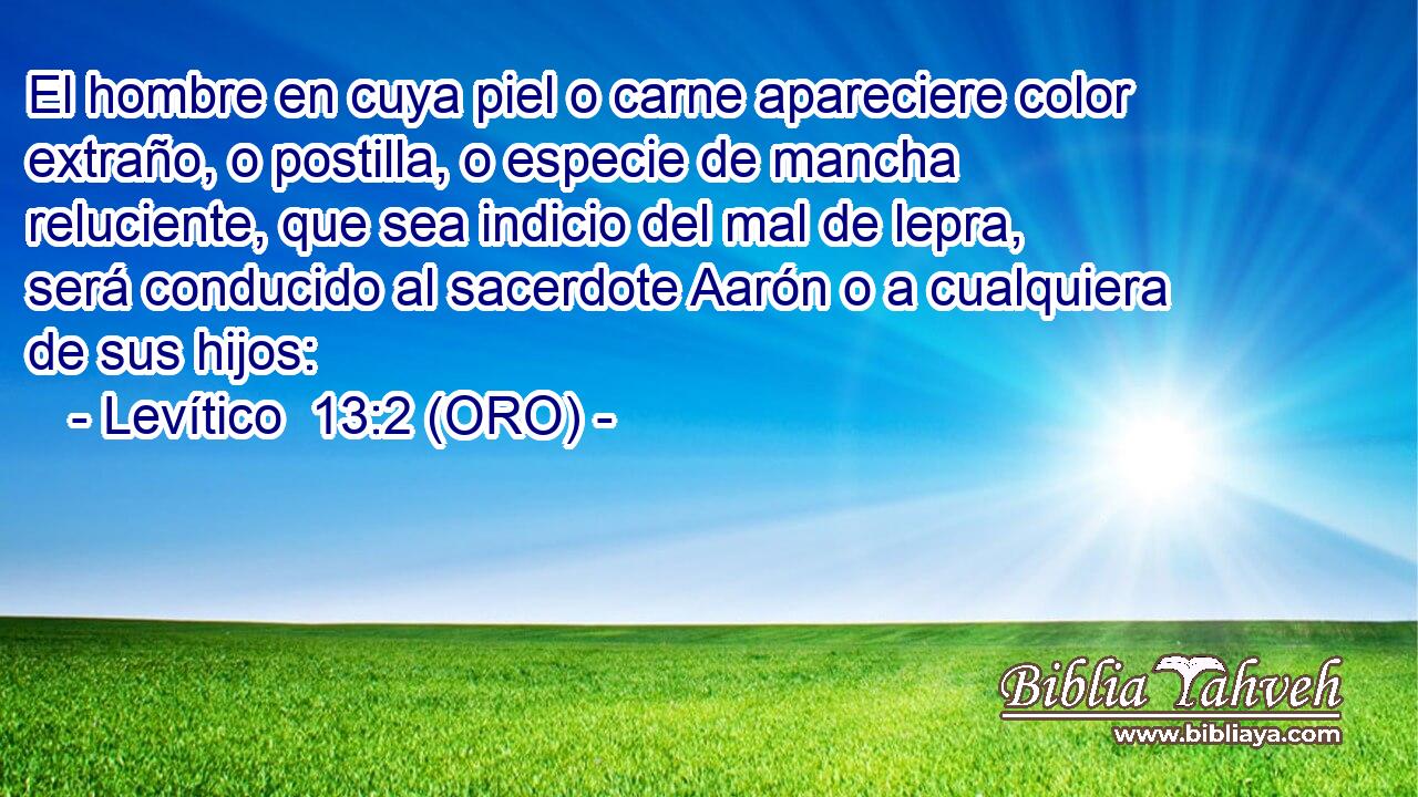  El hombre en cuya piel o carne apareciere color extraño, o postilla, o especie de mancha reluciente, que sea indicio del mal de lepra, será conducido al sacerdote Aarón o a cualquiera de sus hijos: 