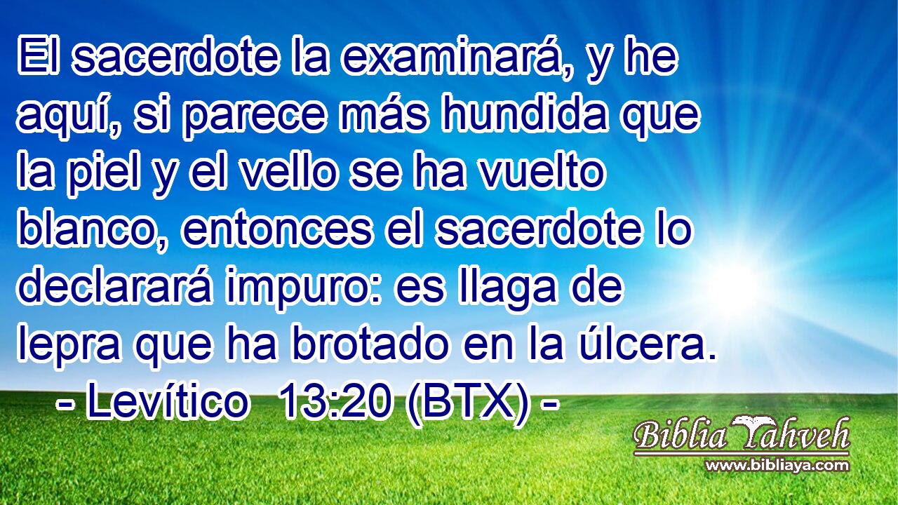 El sacerdote la examinará, y he aquí, si parece más hundida que la piel y el vello se ha vuelto blanco, entonces el sacerdote lo declarará impuro: es llaga de lepra que ha brotado en la úlcera.