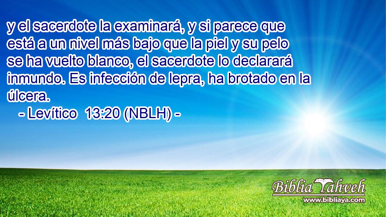  y el sacerdote la examinará, y si parece que está a un nivel más bajo que la piel y su pelo se ha vuelto blanco, el sacerdote lo declarará inmundo. Es infección de lepra, ha brotado en la úlcera. 