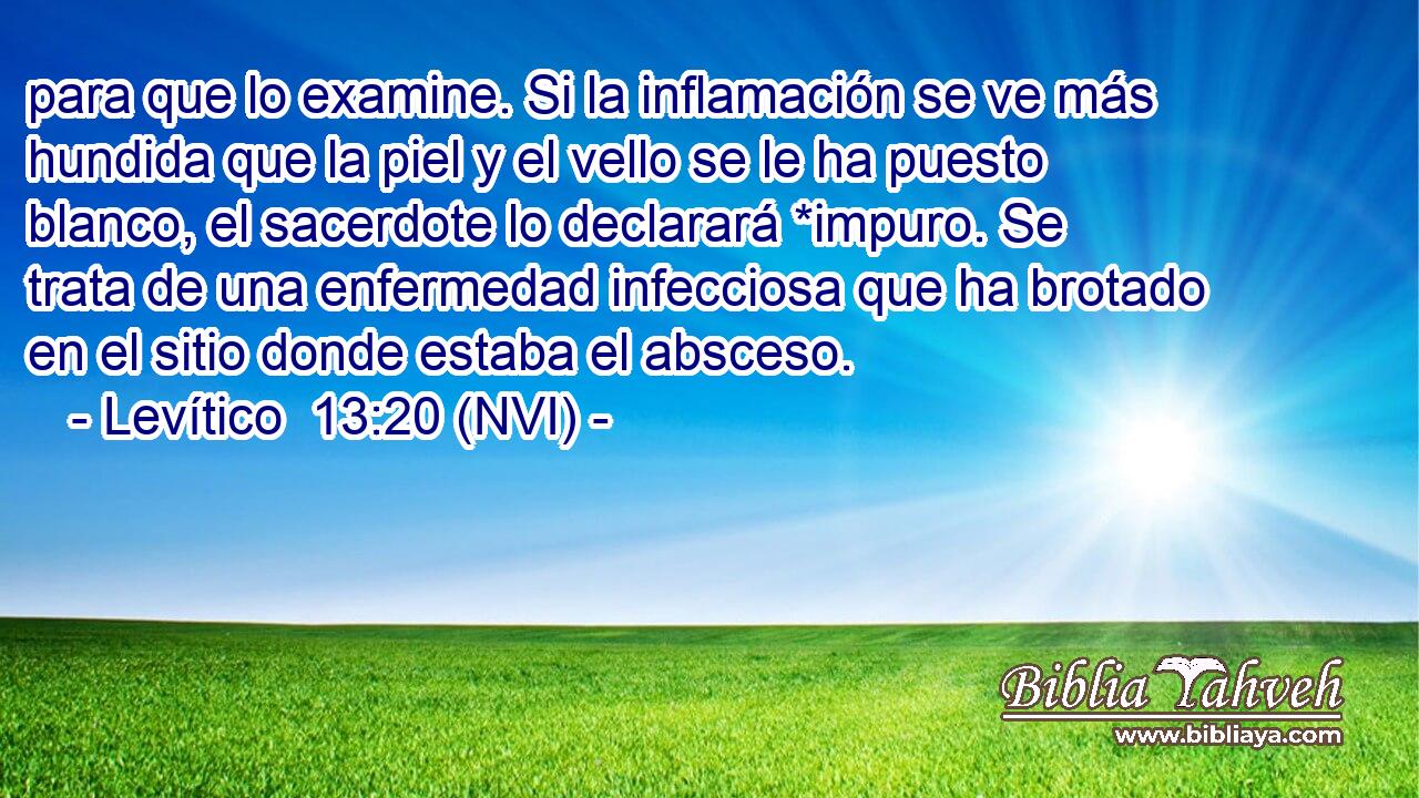  para que lo examine. Si la inflamación se ve más hundida que la piel y el vello se le ha puesto blanco, el sacerdote lo declarará *impuro. Se trata de una enfermedad infecciosa que ha brotado en el sitio donde estaba el absceso. 