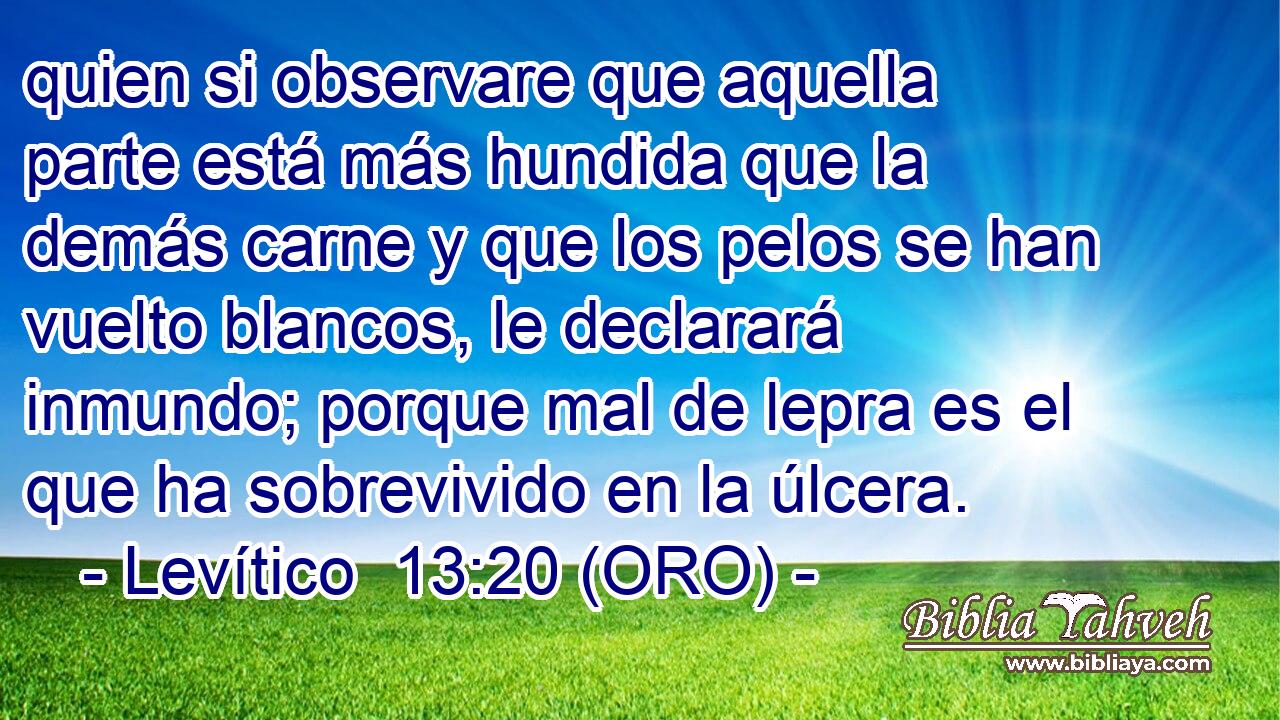  quien si observare que aquella parte está más hundida que la demás carne y que los pelos se han vuelto blancos, le declarará inmundo; porque mal de lepra es el que ha sobrevivido en la úlcera. 