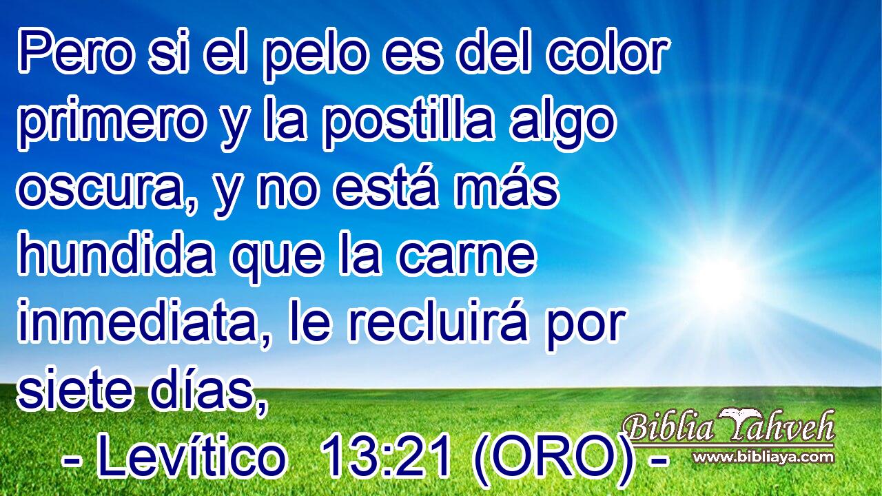  Pero si el pelo es del color primero y la postilla algo oscura, y no está más hundida que la carne inmediata, le recluirá por siete días, 