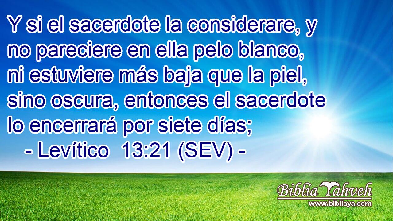 Y si el sacerdote la considerare, y no pareciere en ella pelo blanco, ni estuviere más baja que la piel, sino oscura, entonces el sacerdote lo encerrará por siete días;