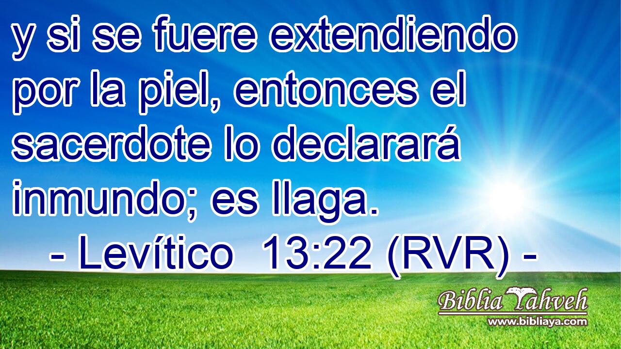 y si se fuere extendiendo por la piel, entonces el sacerdote lo declarará inmundo; es llaga.
