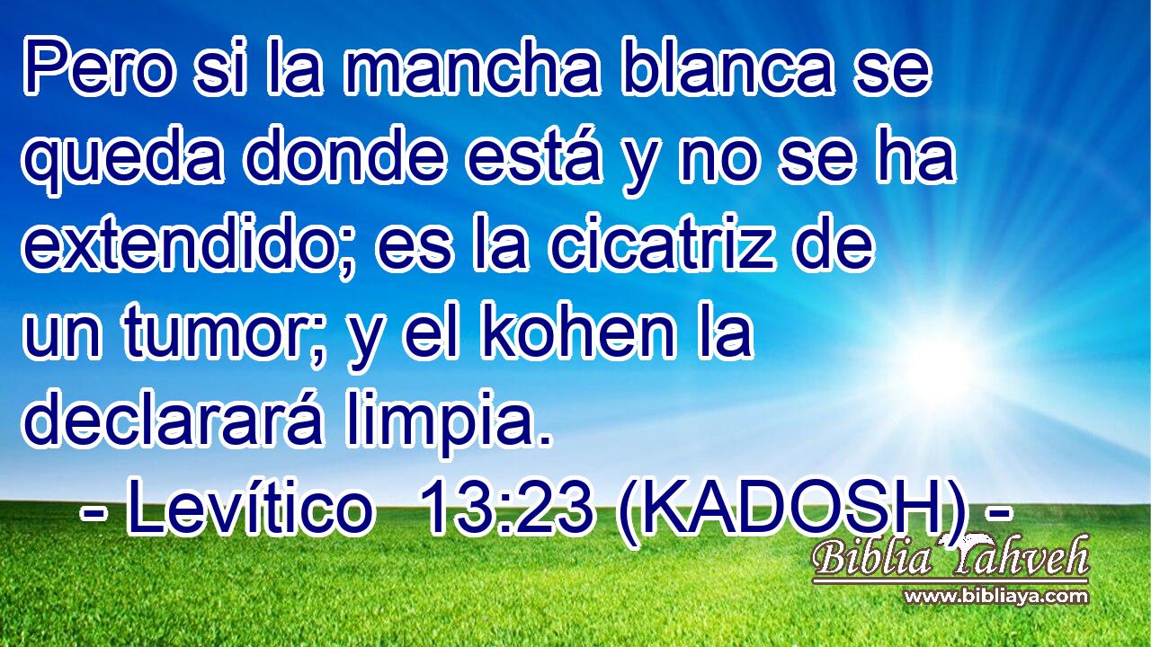  Pero si la mancha blanca se queda donde está y no se ha extendido; es la cicatriz de un tumor; y el kohen la declarará limpia. 