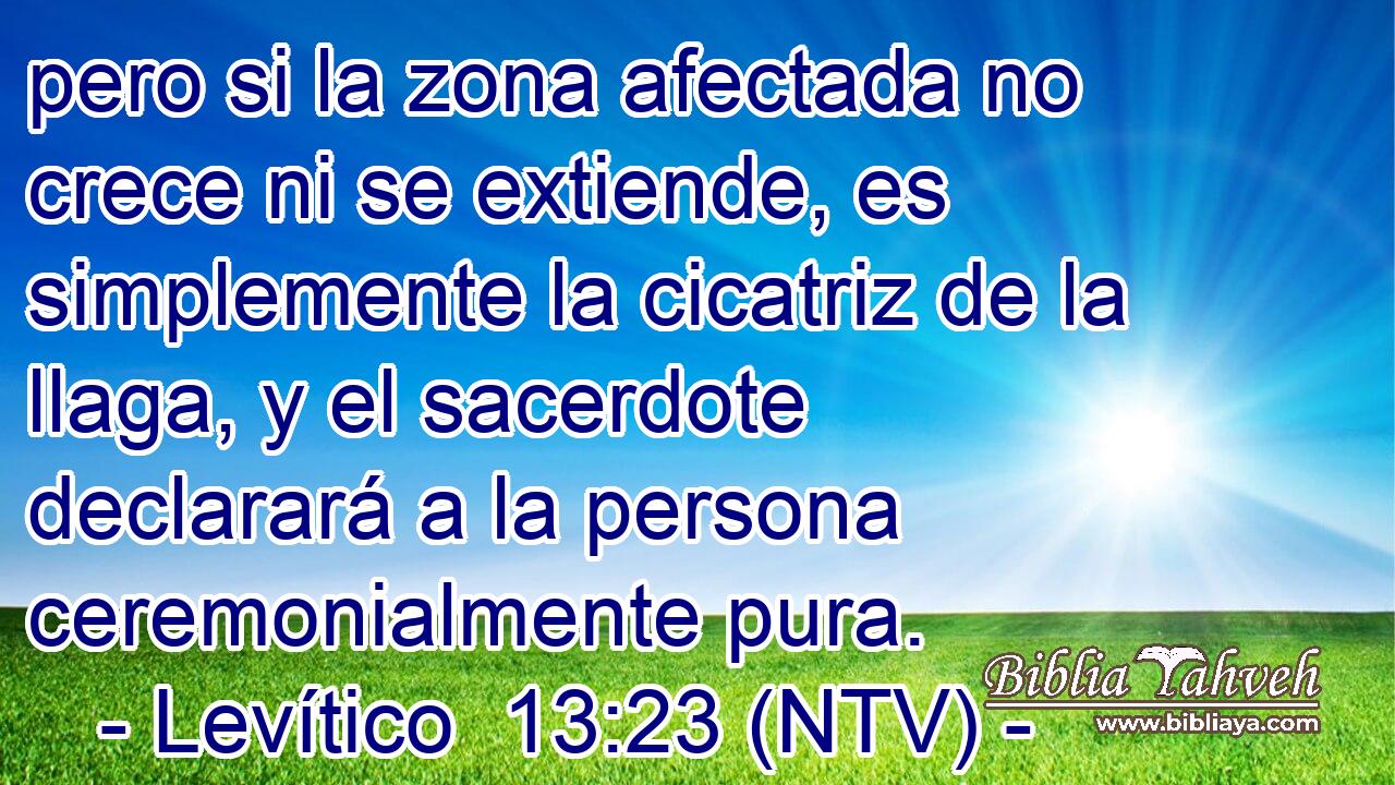 pero si la zona afectada no crece ni se extiende, es simplemente la cicatriz de la llaga, y el sacerdote declarará a la persona ceremonialmente pura.