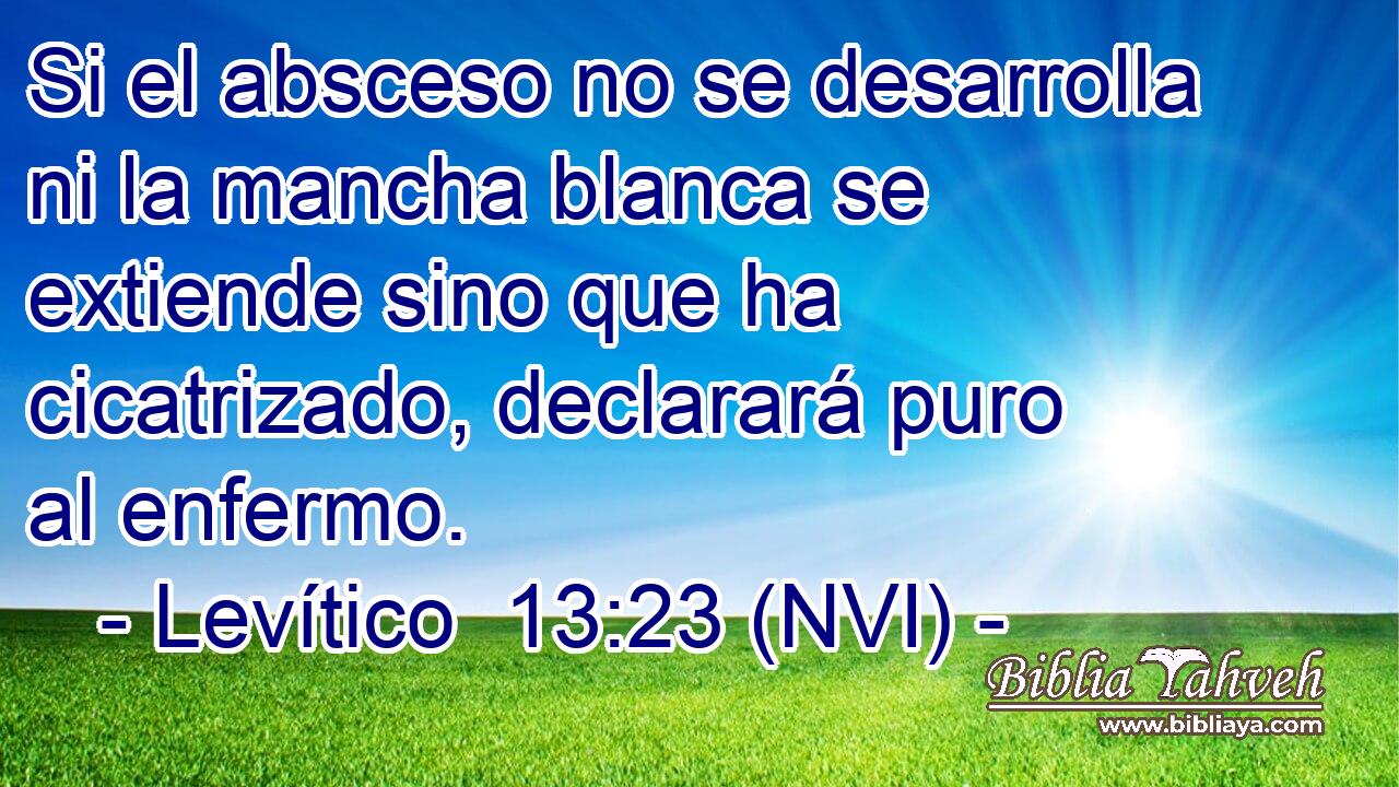  Si el absceso no se desarrolla ni la mancha blanca se extiende sino que ha cicatrizado, declarará puro al enfermo. 
