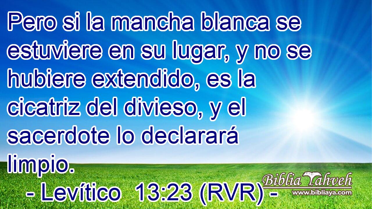 Pero si la mancha blanca se estuviere en su lugar, y no se hubiere extendido, es la cicatriz del divieso, y el sacerdote lo declarará limpio.