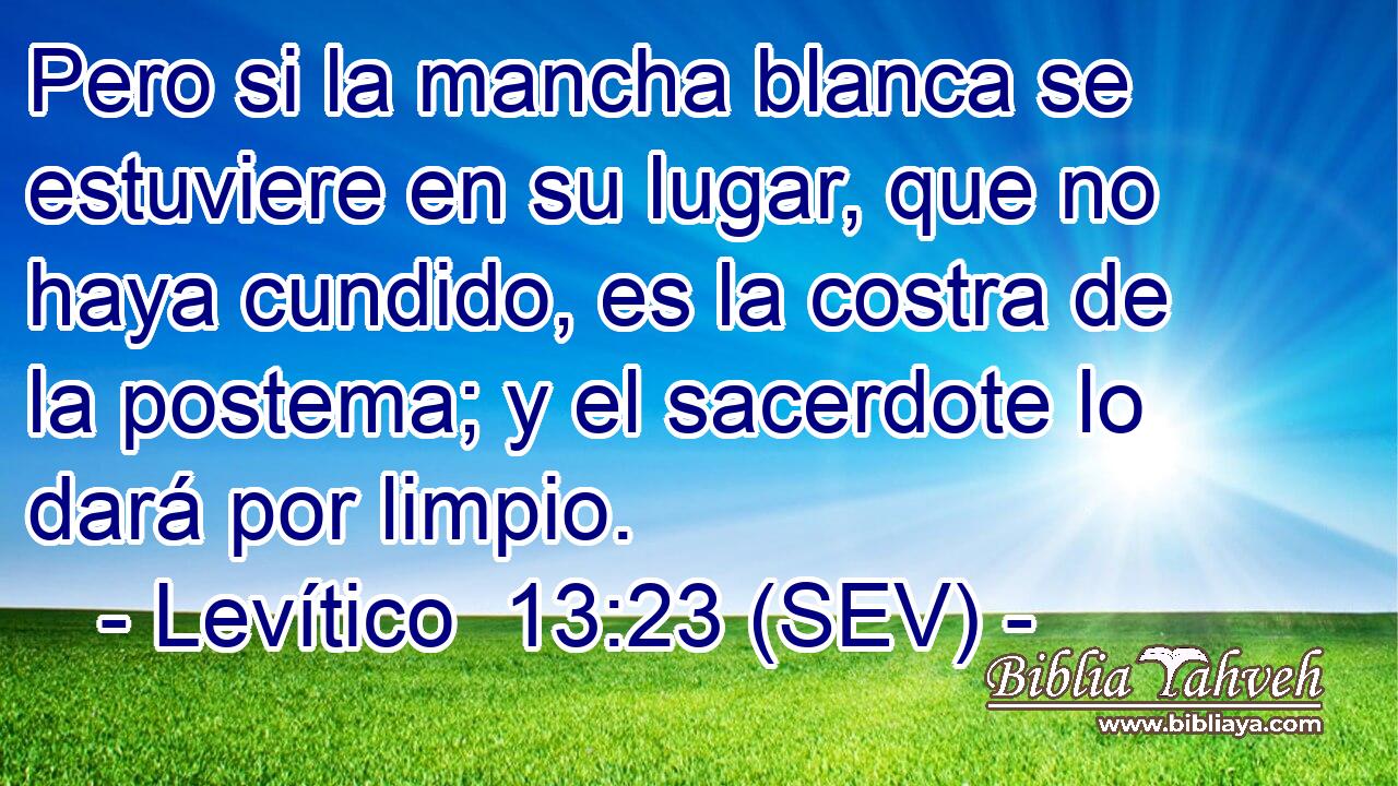 Pero si la mancha blanca se estuviere en su lugar, que no haya cundido, es la costra de la postema; y el sacerdote lo dará por limpio.