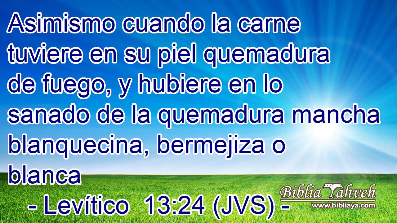 Asimismo cuando la carne tuviere en su piel quemadura de fuego, y hubiere en lo sanado de la quemadura mancha blanquecina, bermejiza o blanca