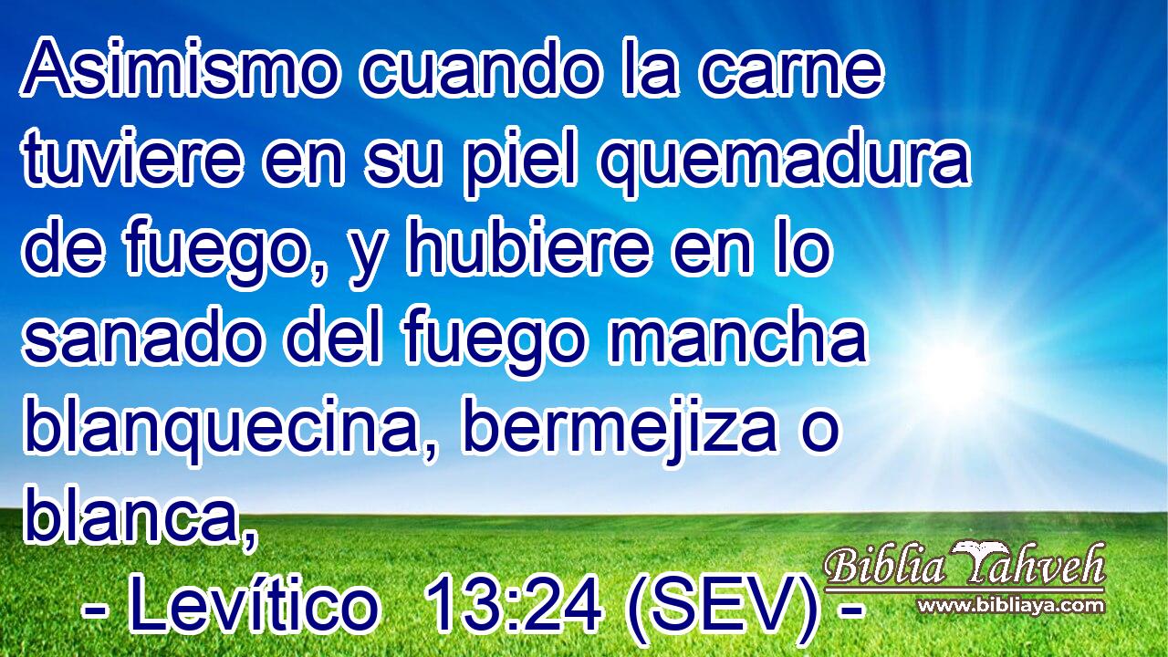 Asimismo cuando la carne tuviere en su piel quemadura de fuego, y hubiere en lo sanado del fuego mancha blanquecina, bermejiza o blanca,