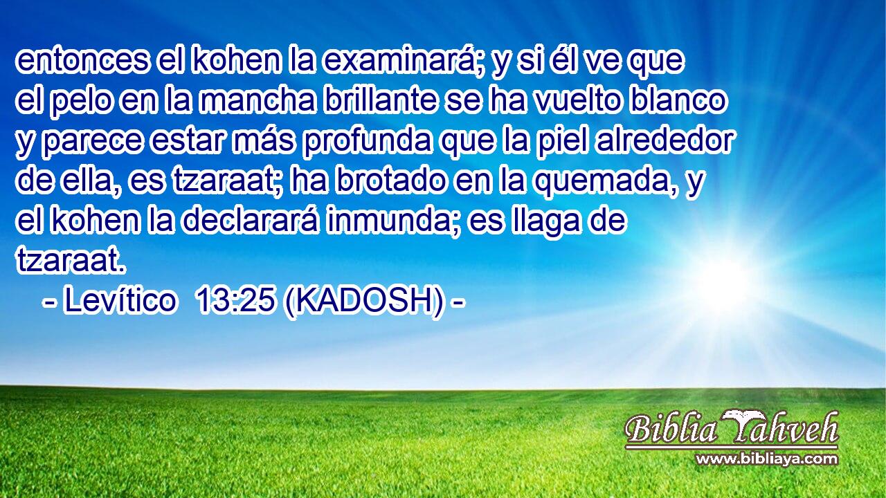  entonces el kohen la examinará; y si él ve que el pelo en la mancha brillante se ha vuelto blanco y parece estar más profunda que la piel alrededor de ella, es tzaraat; ha brotado en la quemada, y el kohen la declarará inmunda; es llaga de tzaraat. 