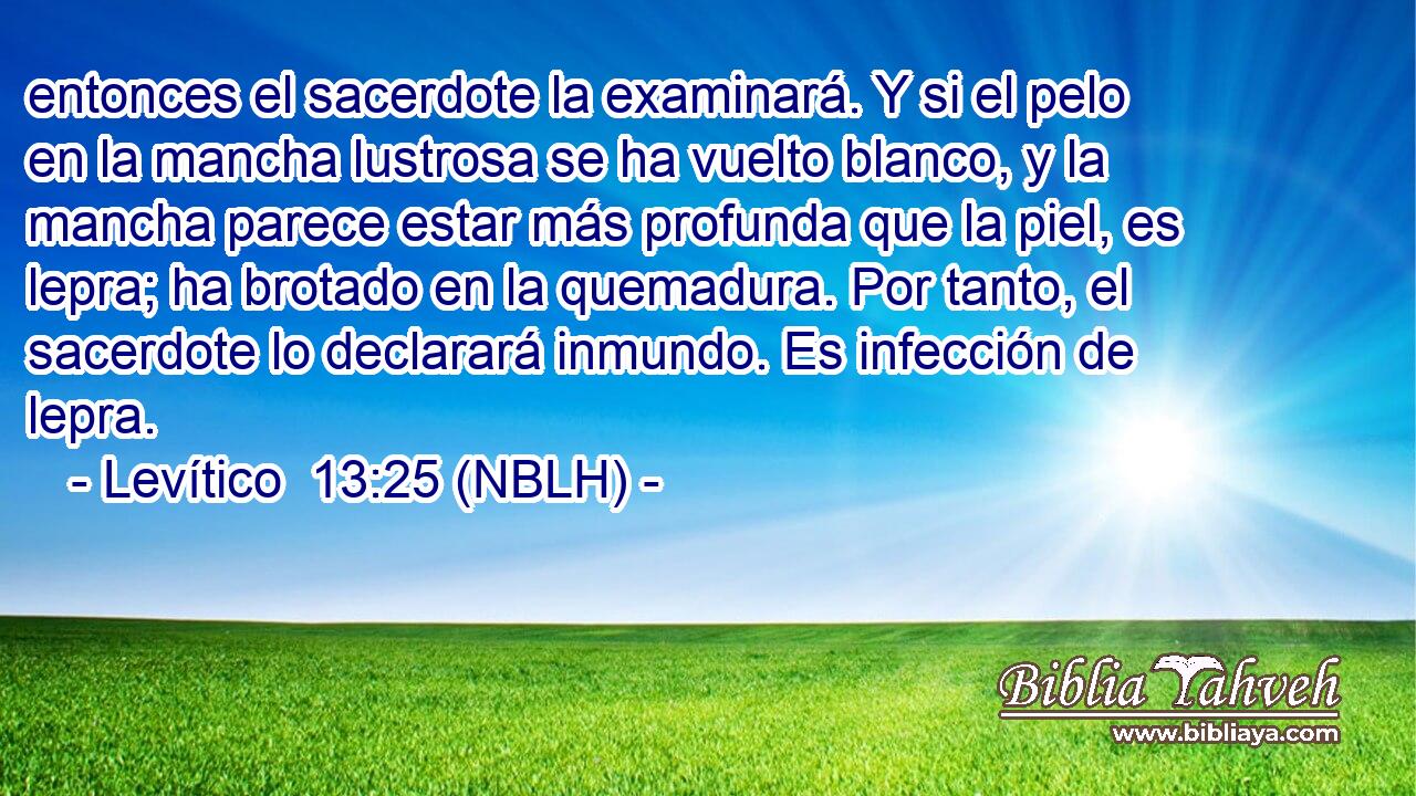  entonces el sacerdote la examinará. Y si el pelo en la mancha lustrosa se ha vuelto blanco, y la mancha parece estar más profunda que la piel, es lepra; ha brotado en la quemadura. Por tanto, el sacerdote lo declarará inmundo. Es infección de lepra. 