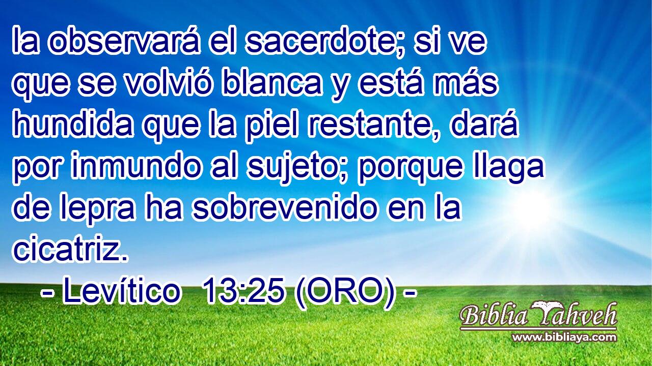  la observará el sacerdote; si ve que se volvió blanca y está más hundida que la piel restante, dará por inmundo al sujeto; porque llaga de lepra ha sobrevenido en la cicatriz. 
