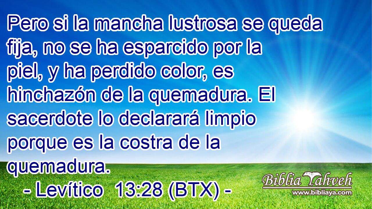 Pero si la mancha lustrosa se queda fija, no se ha esparcido por la piel, y ha perdido color, es hinchazón de la quemadura. El sacerdote lo declarará limpio porque es la costra de la quemadura.