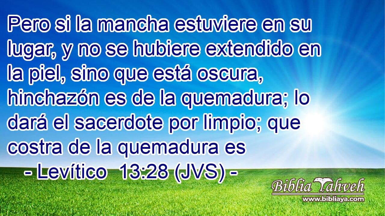 Pero si la mancha estuviere en su lugar, y no se hubiere extendido en la piel, sino que está oscura, hinchazón es de la quemadura; lo dará el sacerdote por limpio; que costra de la quemadura es