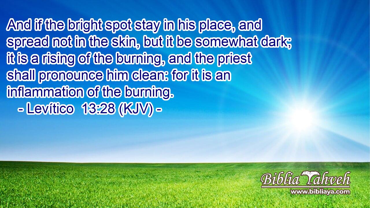 And if the bright spot stay in his place, and spread not in the skin, but it be somewhat dark; it is a rising of the burning, and the priest shall pronounce him clean: for it is an inflammation of the burning.